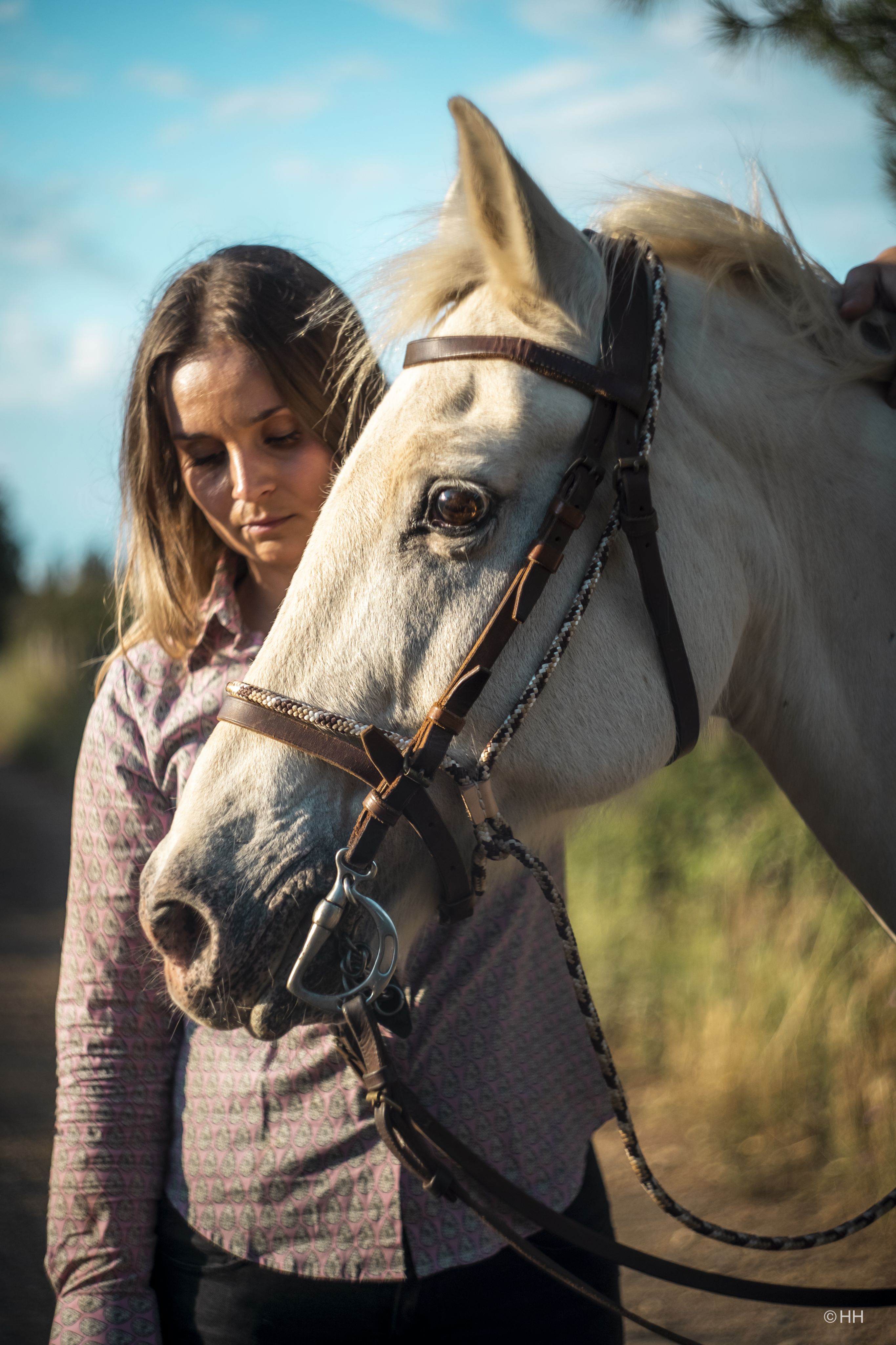 Équitation